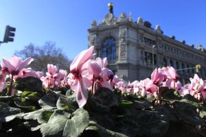 12 bancos pierden dinero en España hasta septiembre
