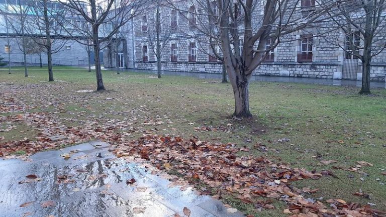 Piden 9 años de cárcel a un joven por intentar matar a otro al que apuñaló