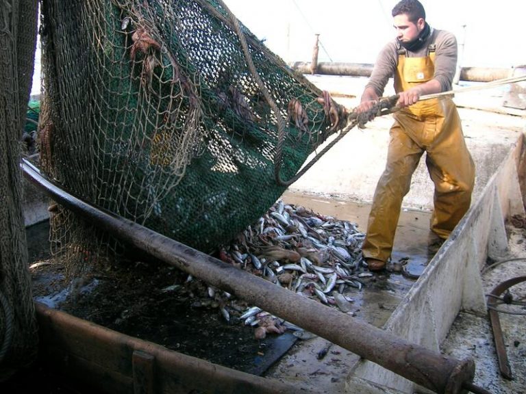 El Parlamento ratifica el nuevo acuerdo de pesca entre España y Portugal