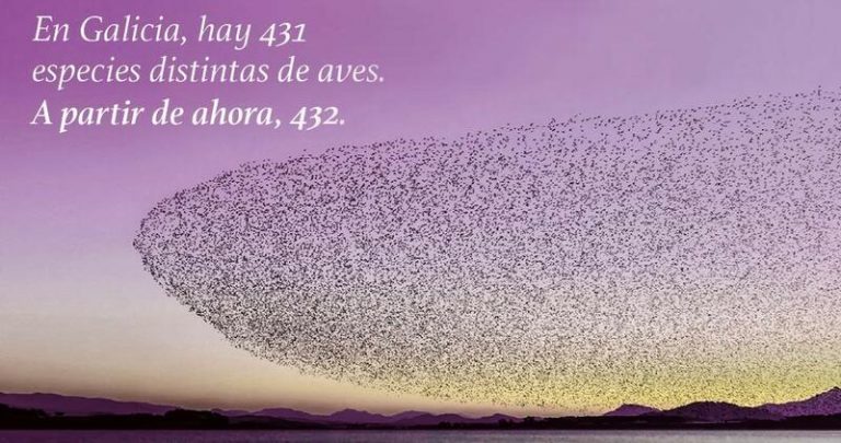 Pedro Sánchez y el Rey inauguran hoy el AVE a Galicia