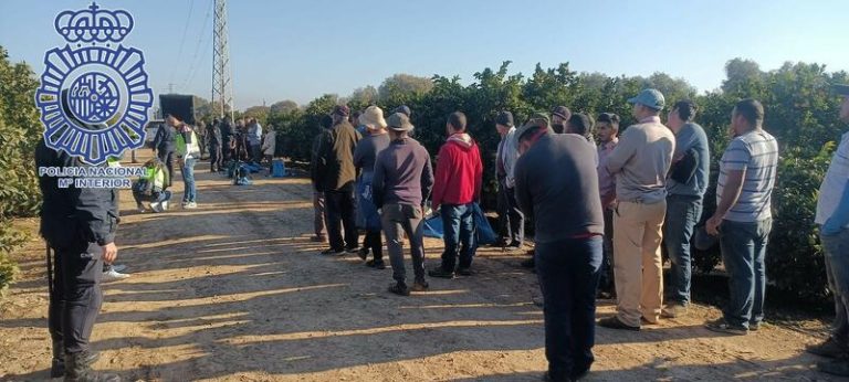 Siete detenidos por explotar en fincas agrarias a extranjeros en situación irregular