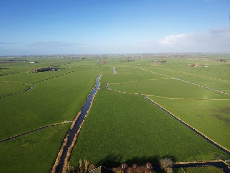 Triodos Bank se une a la petición de reforma de la Política Agraria Común