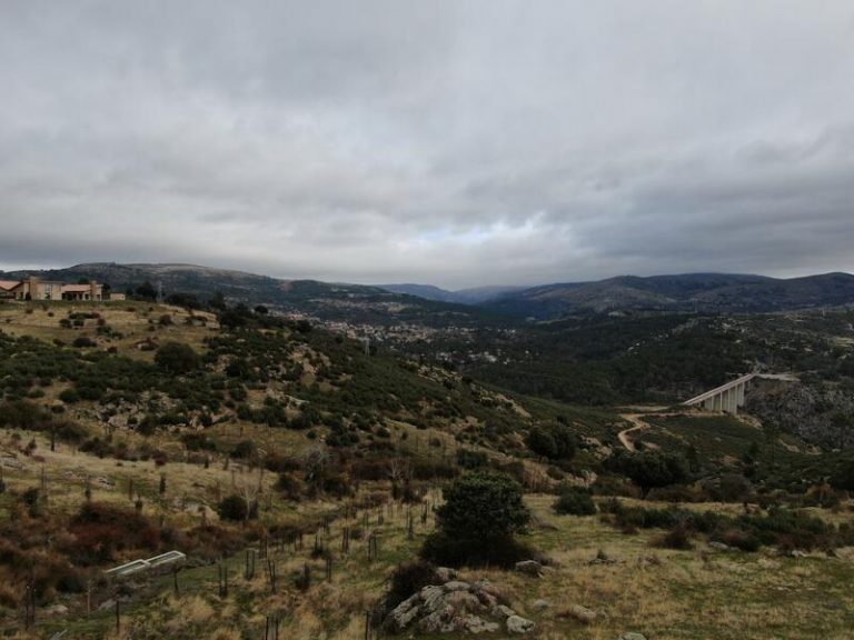 Endesa usará un dron para verificar el buen estado del bosque que reforestó en 2016 en Madrid