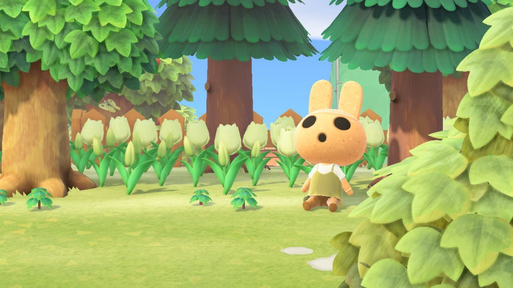 Animal Crossing Cocoloca