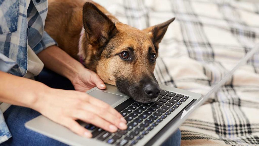 Ansiedad y sobreprotección