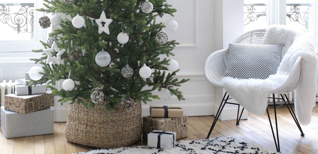 La Universidad de Sheffield y sus grandes logros