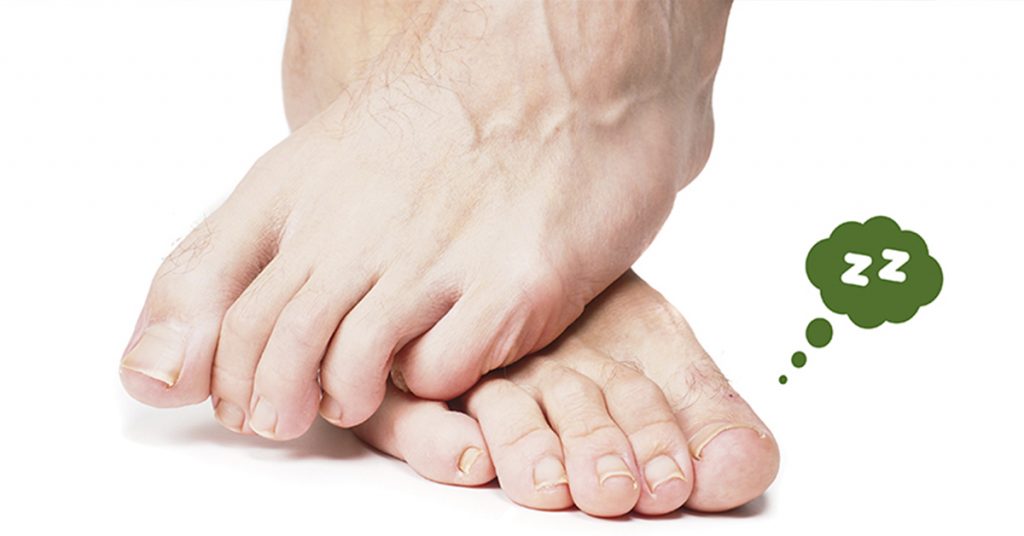 ¿Qué son los pies?