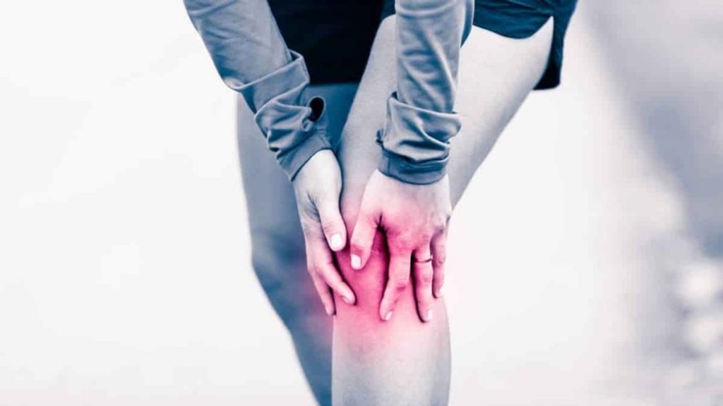 ¿Cómo son nuestros huesos?