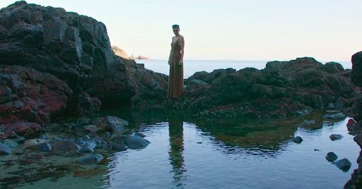 Lorde Leader of a new regime 1