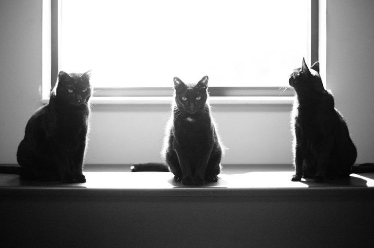 10 cosas que trae mala suerte tener en casa