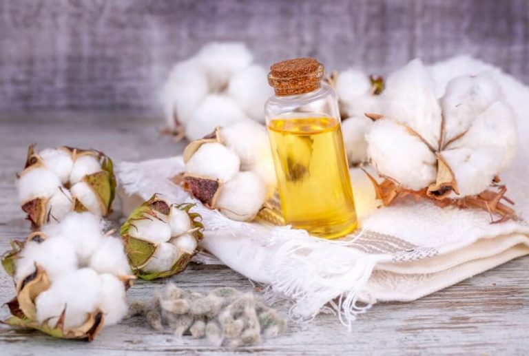 Los usos desconocidos del algodón que nadie te ha contado