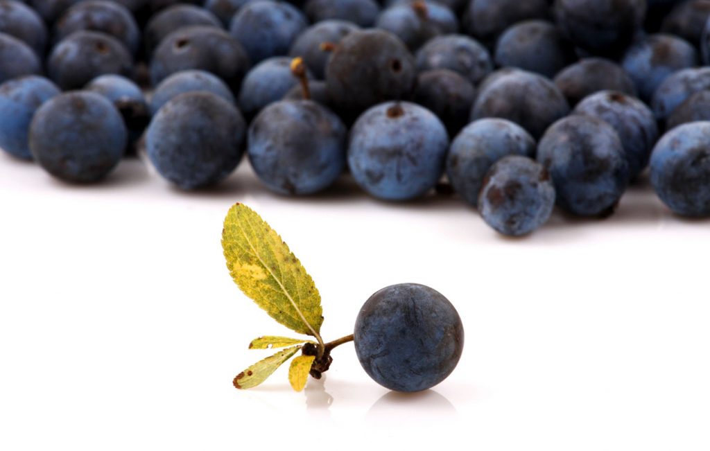 Las bayas de acai son buenas para tu corazón