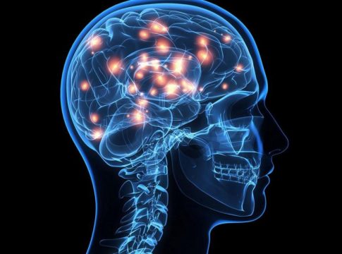 Que es el sistema nervioso central 1 Que es el sistema nervioso central