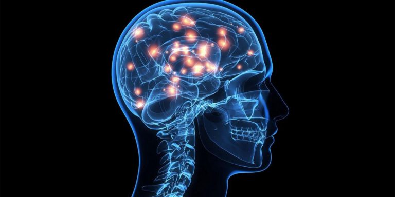 Que es el sistema nervioso central