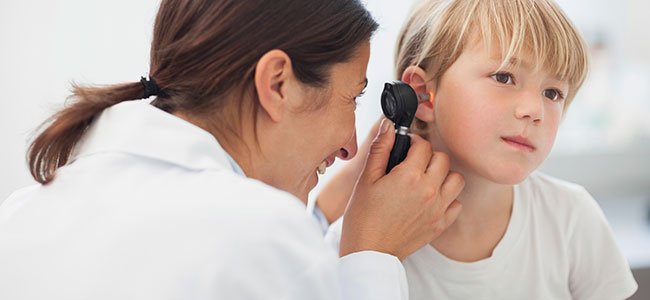Qué es la otitis y cómo se cura 2 ¿El eucalipto y sus muchos beneficios: ayudar con la otitis?