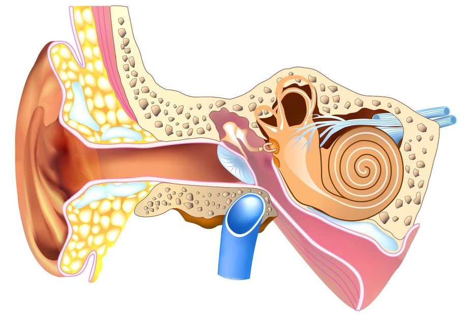 ¿Qué es la presbiacusia?