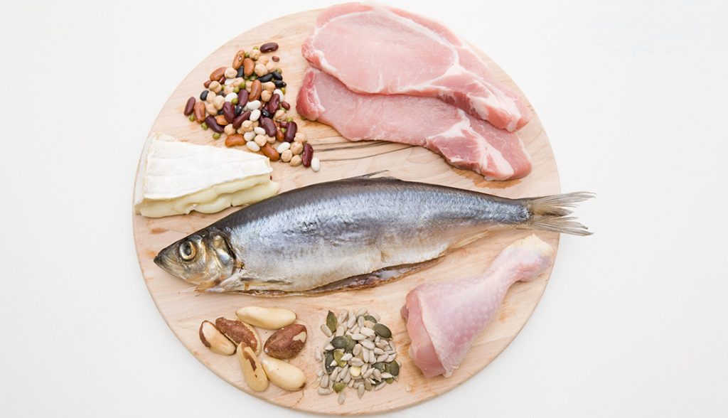 ¿Por qué están compuestas las proteínas?