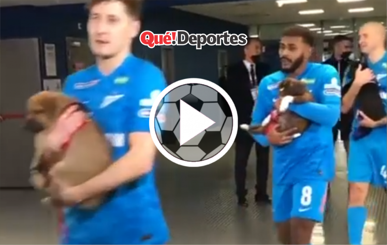 ¡Saltan al campo de juego con mascotas sin hogar!