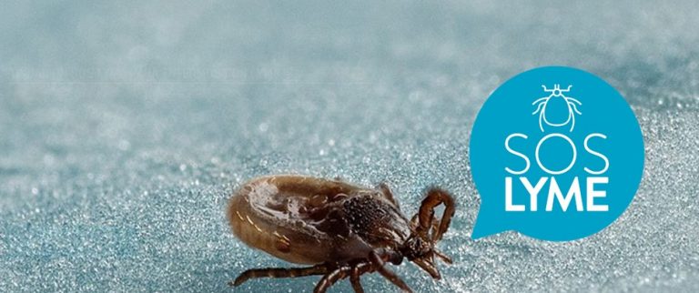 Asociación de pacientes de Lyme