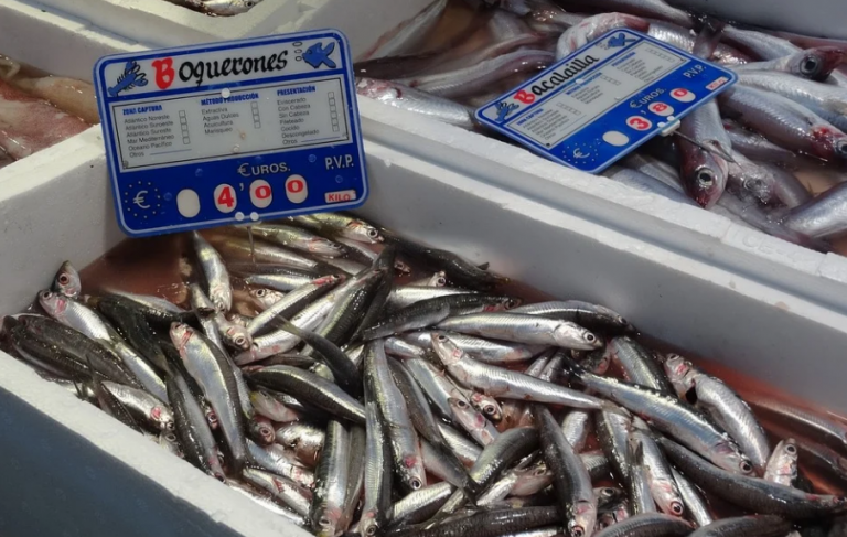Cómo limpiar los boquerones para vinagre
