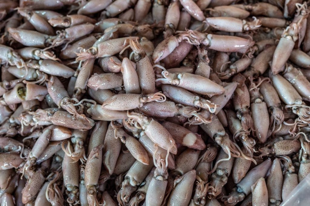 Calamares: este es el mejor relleno para sorprender en Navidad