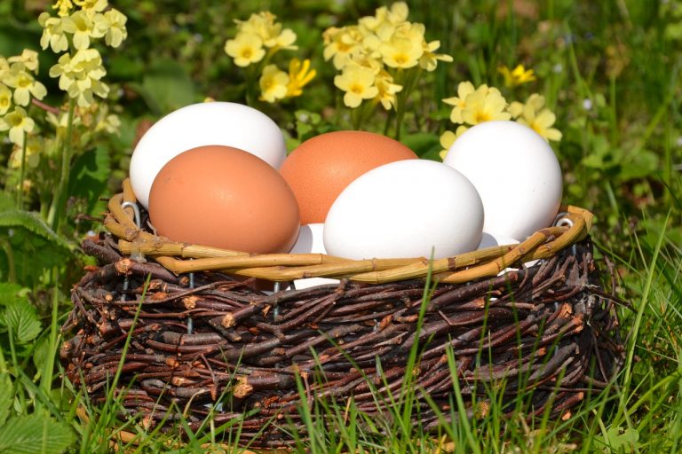 Huevos blancos o marrones: cuáles están más ricos