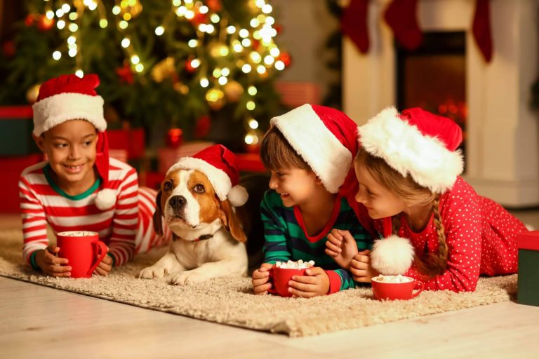 ¿Cómo incluir los perros y gatos en las fiestas?, Navidad en familia multiespecie