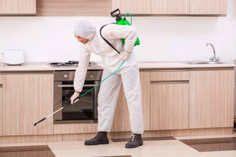 El impacto de la pandemia en las empresas de desinfección y control de plagas, por LEU Servicios