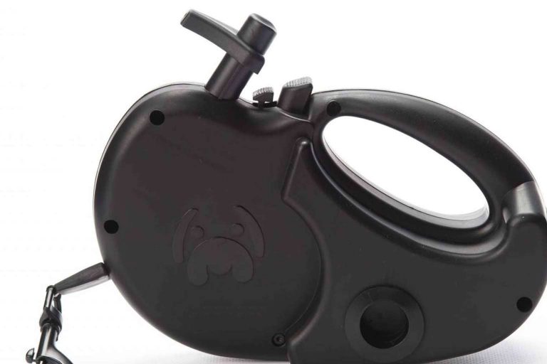 NewZoo, productos innovadores y para el bienestar de las mascotas