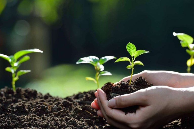 Uno de los únicos sistemas mineros sostenibles y ecológicos es GreenAir