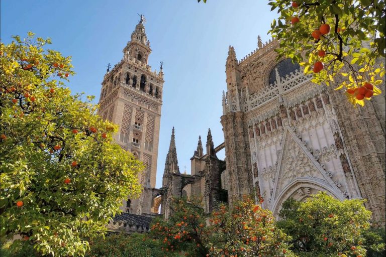Visitas guiadas en Sevilla de la mano de un experto, Tu guía de Sevilla