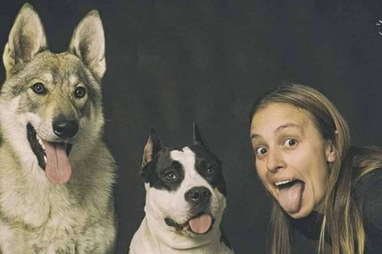 Los servicios de una guardería de día para perros, por PERROBUENO