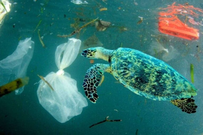 SportWeb.club, la plataforma de compraventa de artículos deportivos comprometida con el medio ambiente