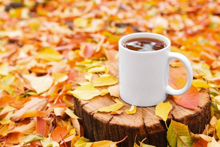 RegaloEmpresas propone 3 maneras originales de utilizar sus tazas publicitarias para llegar al corazón de los clientes