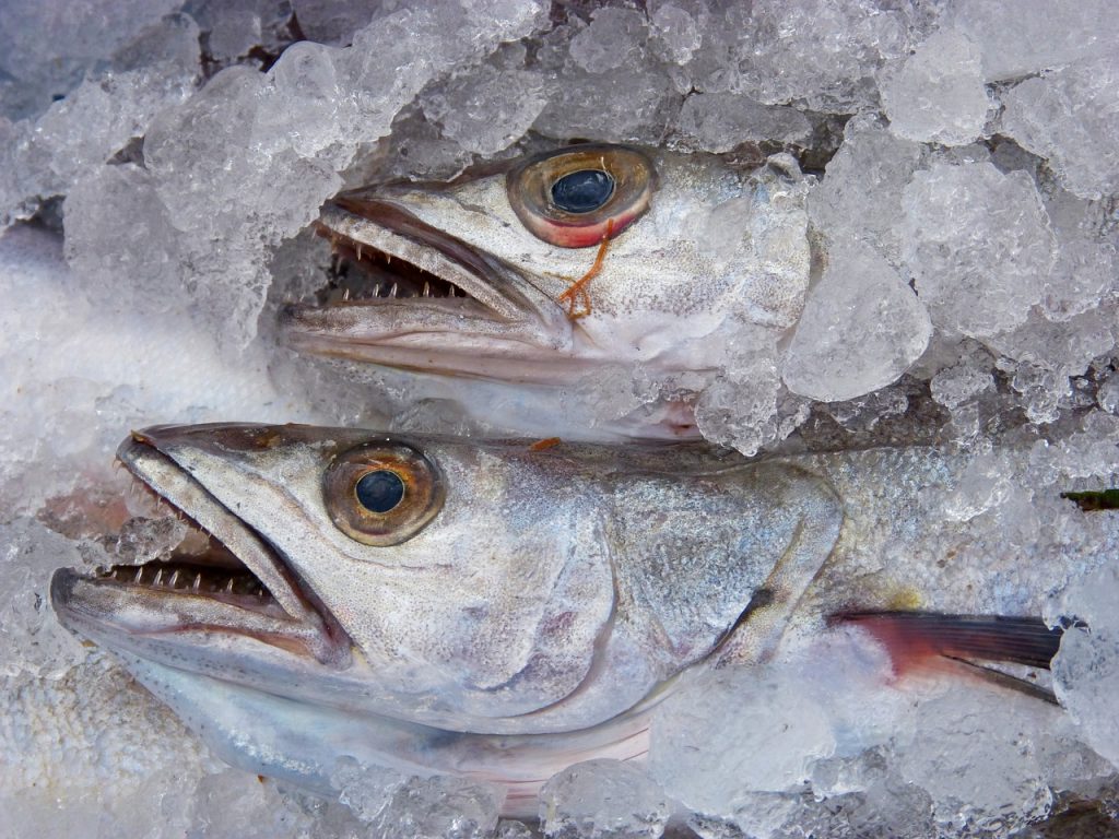 Merluza: el truco infalible para que no se pegue a la sartén