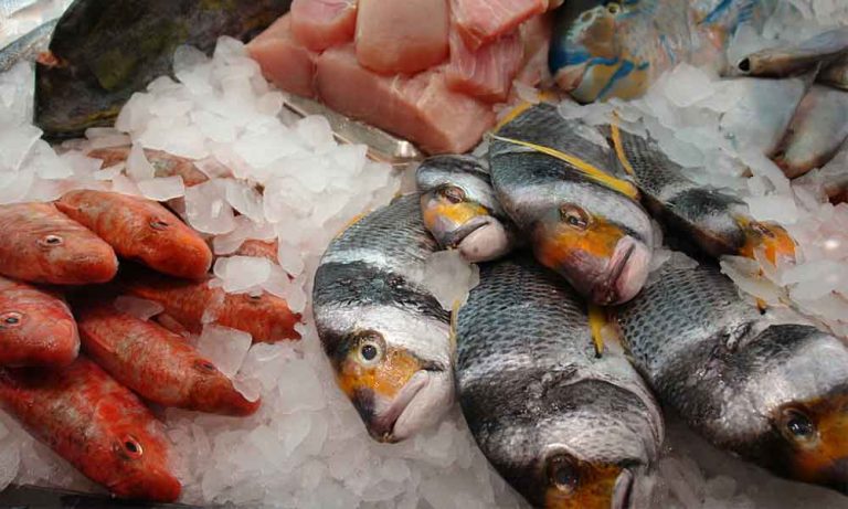 Llenos de mercurio: Ocho pescados que no deberías comer