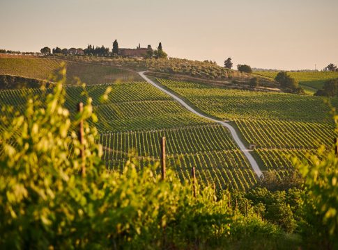 toscana-johny-goerend
