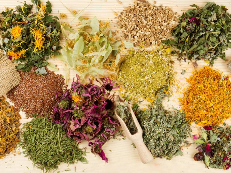 10 plantas y hierbas que combaten la diabetes