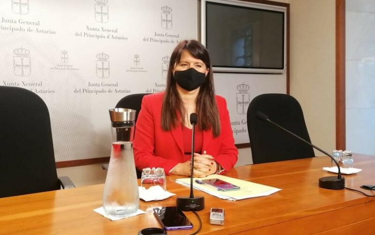 Dimite una diputada de Ciudadanos en Asturias