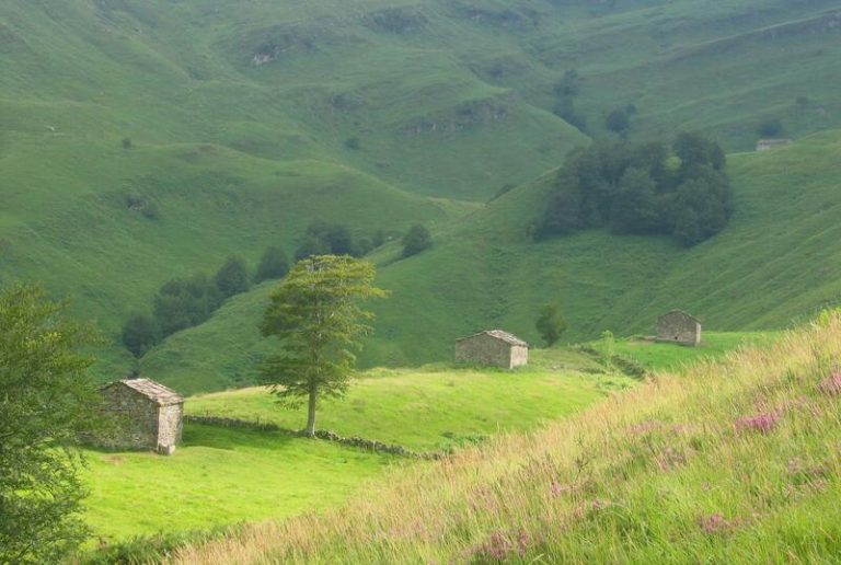 Detenido tras encerrarse con una escopeta junto a su mujer en una cabaña de Vega de Pas