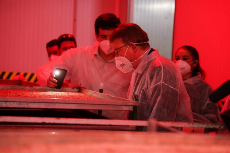 Puig confía en una caida de los contagios en los próximos días