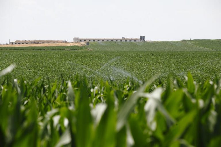 Los regantes piden a Montero reducir el IVA al 10% en el suministro de energía al regadío