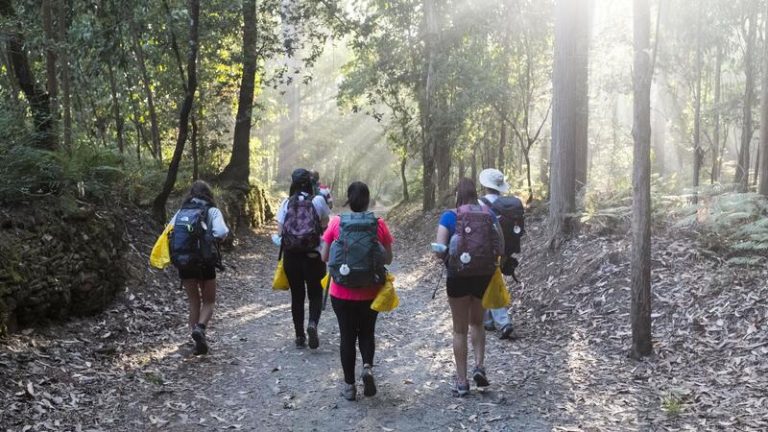 El Gobierno dará 5 millones en ayudas para digitalizar destinos del Camino de Santiago