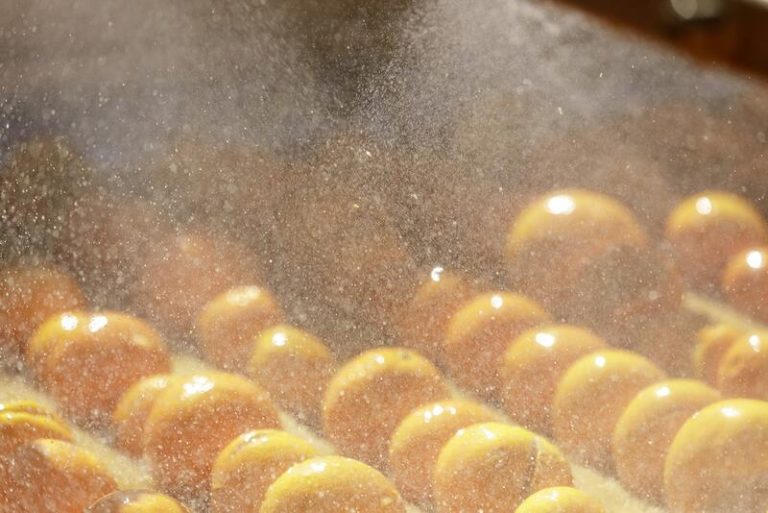 España pedirá a la UE más medidas sanitarias a la importación de cítricos de Sudáfrica