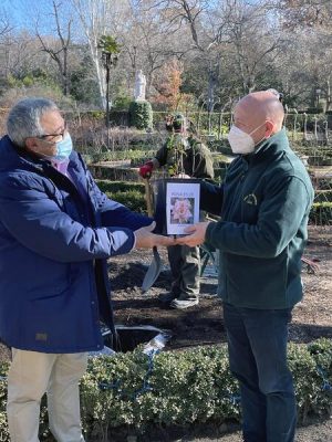 El Real Jardín Botánico incorpora un rosal híbrido de té donado por el rosalista español Carlos Rivero