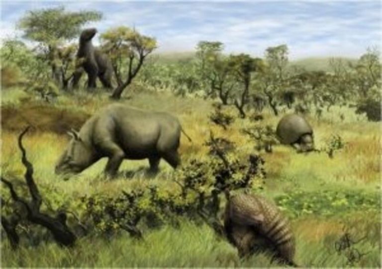 Un estudio explica cómo la extinción de grandes herbívoros permitió la expansión de los bosques sudamericanos