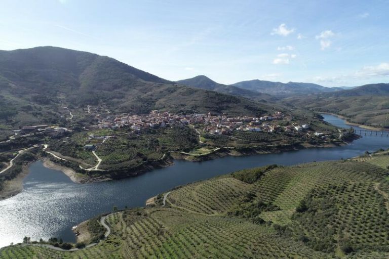 Ecologistas denuncia que 