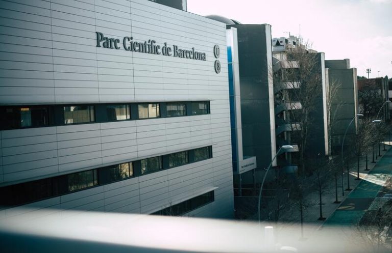 Ministerio de Derechos Sociales pide a la Generalitat catalana frenar el sacrificio de 32 perros en un laboratorio