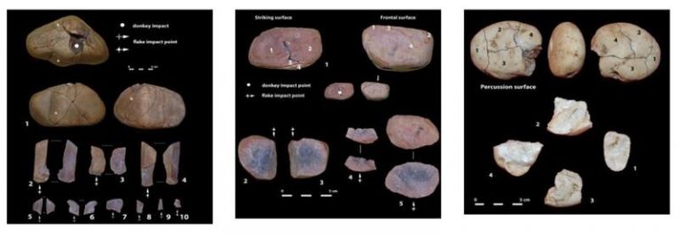 Restos de rocas supuestamente talladas por hombres prehistóricos podrían ser de équidos