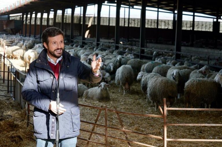 Casado afea a Sánchez que le pida apoyo con la reforma laboral cuando estos meses no le ha dado 